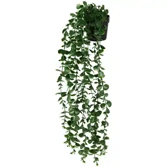 Action Hangplant in pot aanbieding