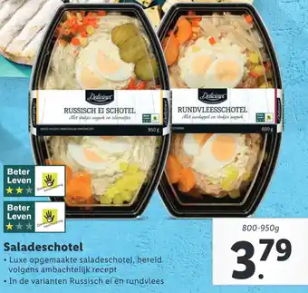 Lidl Saladeschotel 950g aanbieding