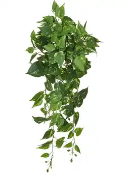 123Planten Pothos aanbieding