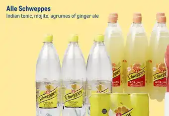 Makro Alle Schweppes Indian Tonic , Mojito , Agrumes of Ginger Ale Folie 6 Flessen a 1 Liter aanbieding