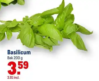 Makro Basilicum aanbieding