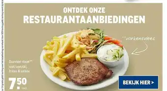 Makro Souvlaki Steak Met Tzatziki, Frites & Salade aanbieding