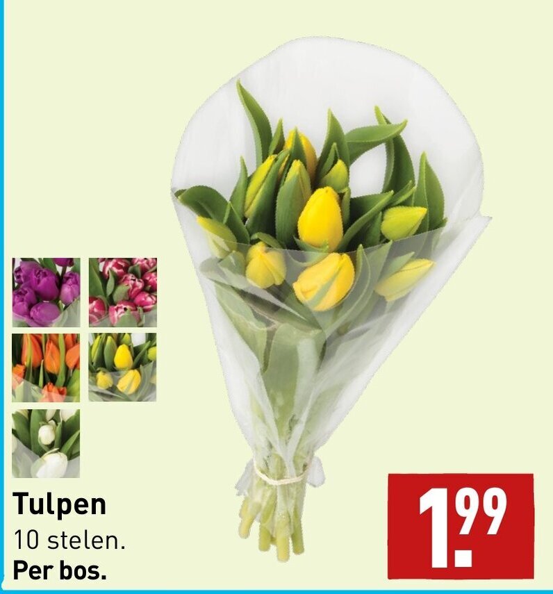 Tulpen aanbieding bij ALDI