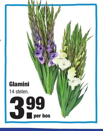 ALDI Glamini aanbieding