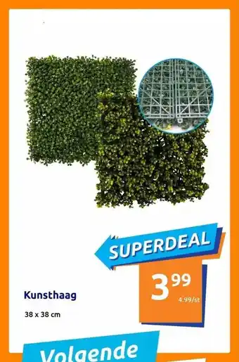 Action Kunsthaag aanbieding