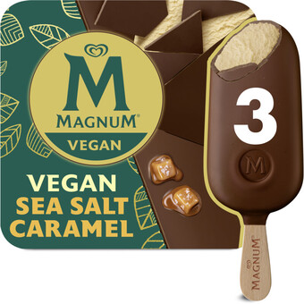 Albert Heijn Magnum vegan sea salt caramel aanbieding