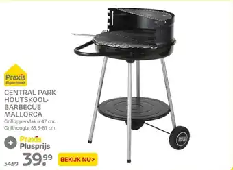 Praxis Central park houtskool-barbecue mallorca aanbieding