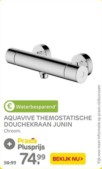 Praxis Aquavive thermostatische douchekraan junin aanbieding