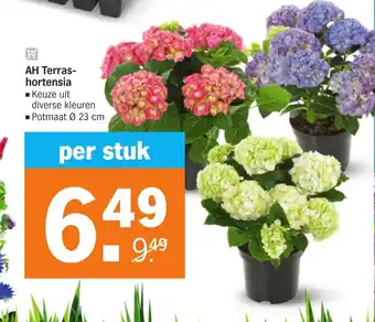 Albert Heijn AH terras-hortensia 23cm aanbieding