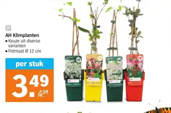 Albert Heijn AH klimplanten 12cm aanbieding