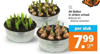 Albert Heijn AH bollen in zinken schaal aanbieding