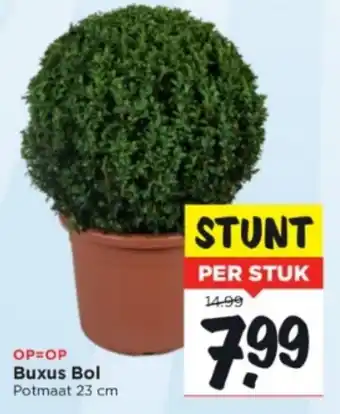 Vomar Voordeelmarkt Buxus bol 23cm aanbieding