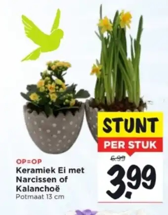 Vomar Voordeelmarkt Keramiek ei met narcissen of kalanchoe 13cm aanbieding