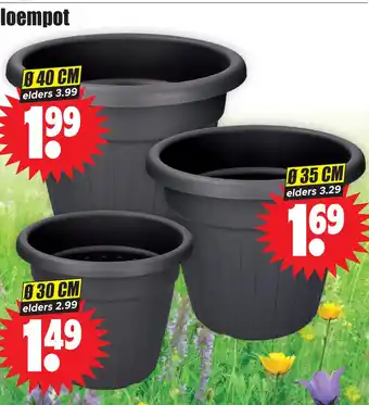 Dirk Bloempot aanbieding