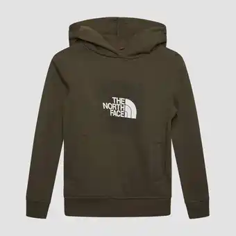 Perry Sport The north face the north face box sweater groen kinderen aanbieding