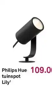 Karwei Philips hue philips hue tuinspot aanbieding