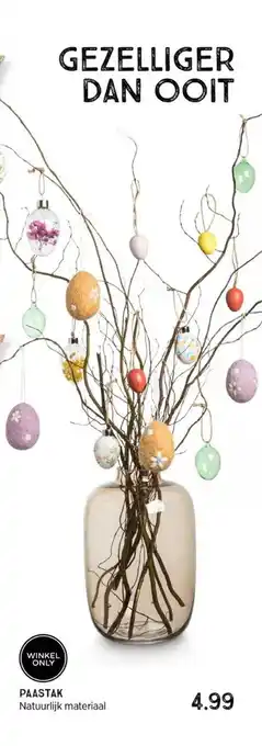 Xenos Paastak aanbieding