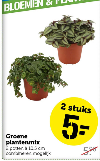 Coop Groene plantenmix aanbieding