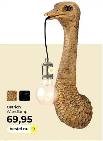 Lampidee Ostrich aanbieding