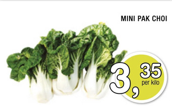 Amazing Oriëntal Mini pak choi aanbieding