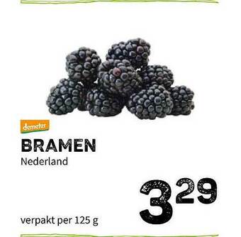 Ekoplaza Bramen aanbieding