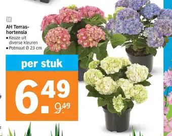 Albert Heijn Ah terras hortensia aanbieding