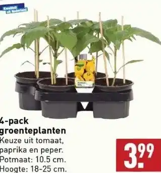 ALDI 4-pack groenteplanten keuze uit tomaat, paprika en peper. potmaat: 10.5 cm. hoogte: 18-25 cm. aanbieding