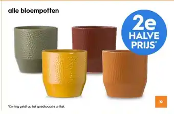 Blokker Alle bloempotten aanbieding