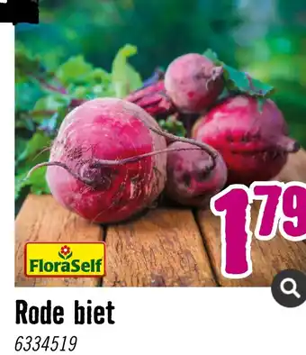 Hornbach Rode biet 6334519 aanbieding