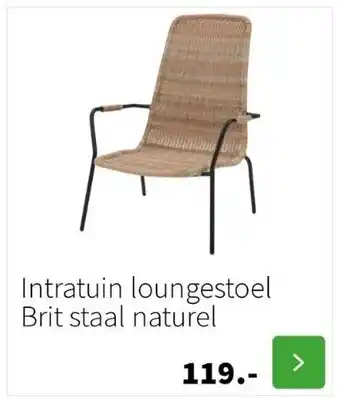 Intratuin Intratuin loungestoel brit staal naturel aanbieding