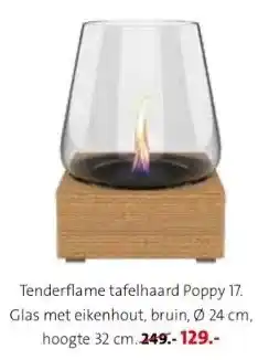 Intratuin Tenderflame tafelhaard poppy 17. aanbieding