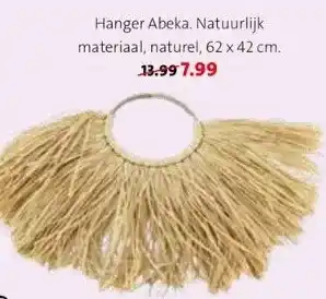 Intratuin Hanger abeka. natuurlijk aanbieding