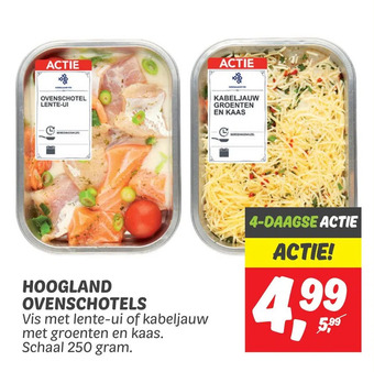 Dekamarkt Hoogland ovenschotels aanbieding