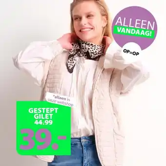 terStal Gestept Gilet aanbieding