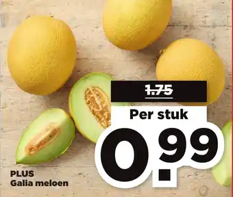 PLUS Galia meloen aanbieding