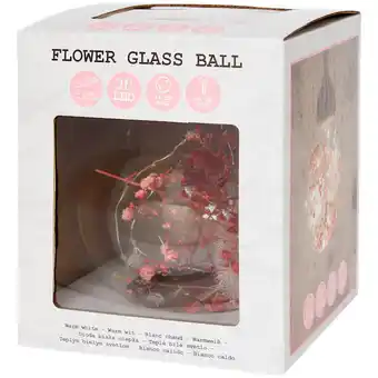 Action Glazen ledbol met droogbloemen aanbieding