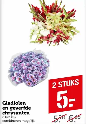 Coop Gladiolen en geverfde chrysanten aanbieding