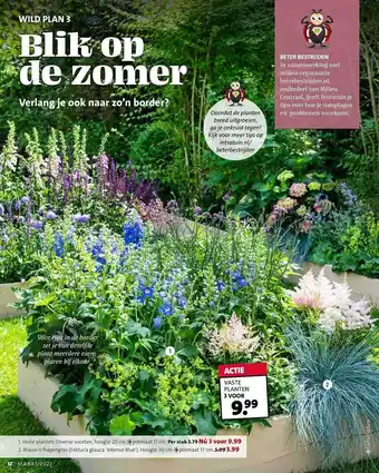 Intratuin Vaste Planten Of Blauw Schapengras aanbieding