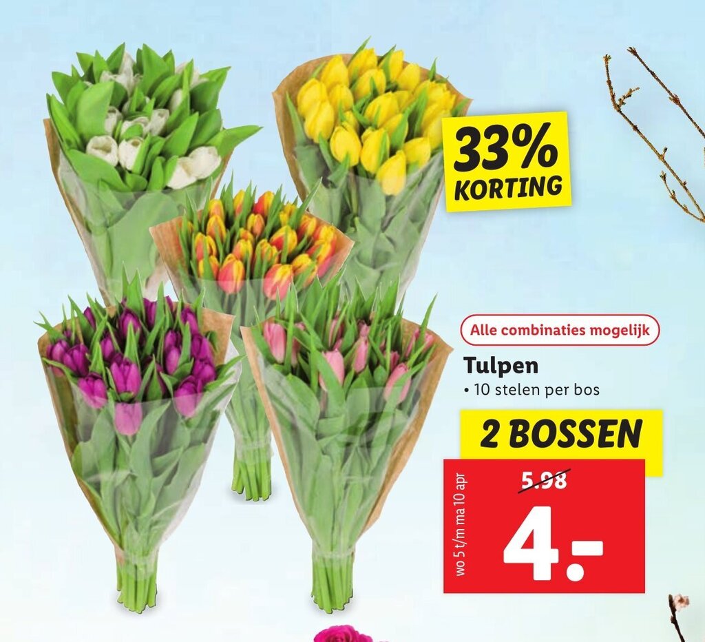 Tulpen 2 bossen aanbieding bij Lidl