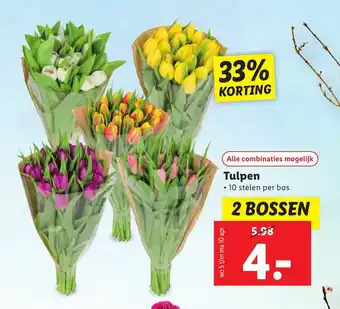 Lidl Tulpen 2 bossen aanbieding