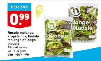 Hoogvliet Rucola melange, kropsla mix,krulsla melange of jonge bladsla 100g aanbieding