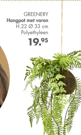 Casa GREENERY Hangpot met varen aanbieding