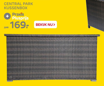 Praxis CENTRAL PARK KUSSENBOX aanbieding