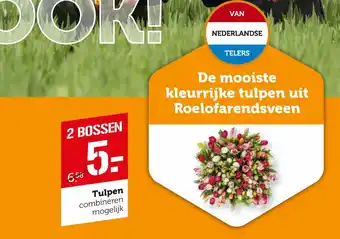 Coop Tulpen aanbieding