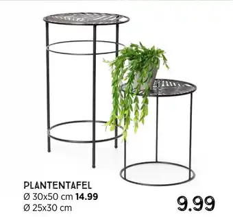 Xenos Plantentafel aanbieding