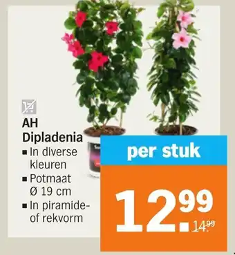 Albert Heijn AH dipladenia aanbieding