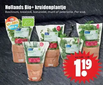 Dirk Hollands Bio+ Kruidenplantje Basilicum, Bieslook, Koriander, Munt Of Peterselie aanbieding