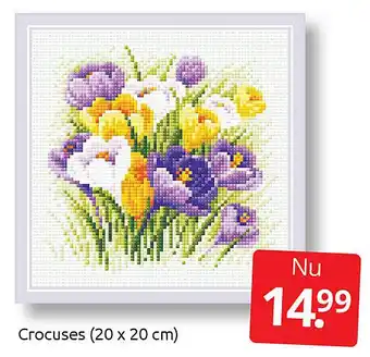 Boekenvoordeel Crocuses aanbieding