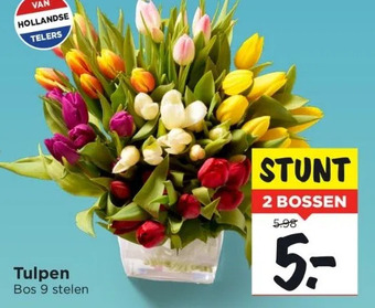 Vomar Voordeelmarkt Tulpen aanbieding