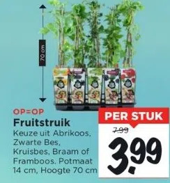 Vomar Voordeelmarkt Fruitstruik aanbieding